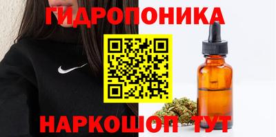 стаф Кимры