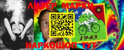 apvp Кингисепп