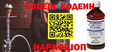 apvp Кингисепп