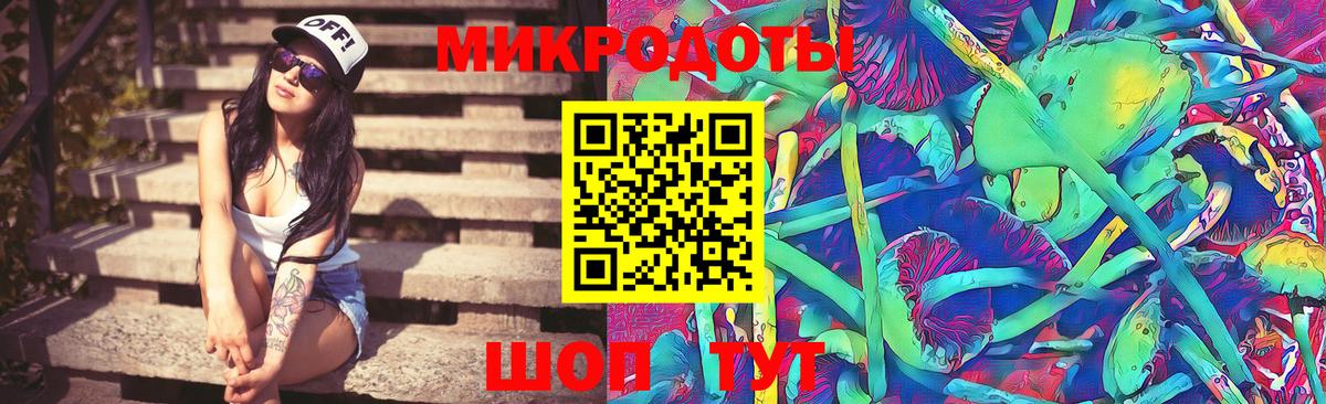 Галлюциногенные грибы прущие грибы Новошахтинск